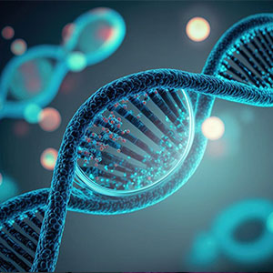 Memory Center | Neurological Evaluation, MRI PET Scans and Ultrasounds